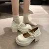 Zapatos Mary Jane para mujer para figuras petite, adecuados para combinar con faldas, nuevo verano 2025 moda retro francesa tacón grueso suela gruesa zapatos de piel
