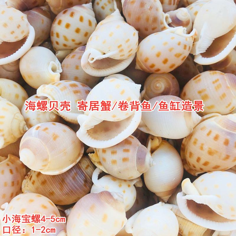 QQ图片20211018125046.jpg