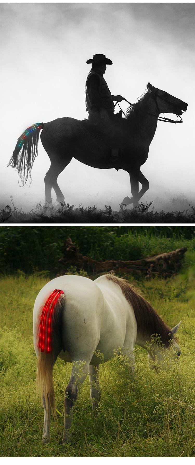 H1014-充电三织带马尾巴 (9).jpg?x-oss-process=image/format,png