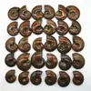 Fóssil de Concha Manchada Natural Concha Fóssil Antigo Espécime Mineral Pedra Bruta Ornamental