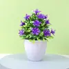 Planta Verde de Simulación Planta Verde de Escritorio Mini Maceta Adornos de Simulación Flor de Simulación Pequeño Bonsái Flor Artificial Nórdica Planta en Maceta Flor