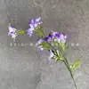 Flores Artificiais Orquídea de 7 Cabeças Arranjo de Casamento Fundo Arranjo de Flores Decoração de Hotel Buquê de Teto Flores Artificiais Pequenas Frescas Transfronteiriço
