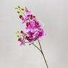 2 galhos mini phalaenopsis impressão 3D simulação flor flor seca única casamento casa vestido adereços de fotografia mercadorias transfronteiriças