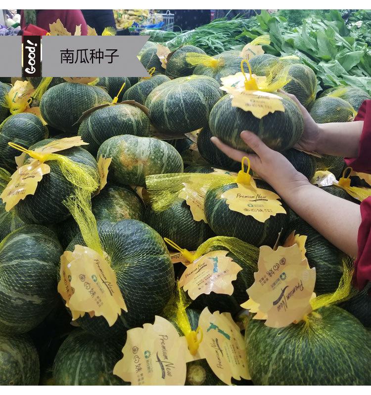 黑贝南瓜03-3