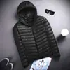 Chaqueta Ligera Acolchada de Algodón para Hombre, Cuello Vertical, Talla Grande, Juvenil, Ultraligera, Corte Ajustado, Corta