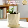 Vaso de Cerâmica para Flores com Prato, Estilo Ins de Luxo Leve, Diâmetro Grande, Estilo Creme, para Orquídeas e Suculentas, Liquidação