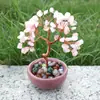 Árbol de Cristal Natural Más Vendido Árbol de Dinero de Cristal Cornucopia Base para Taza de Té Árbol de Dinero Adornos de Fortuna para Escritorio del Hogar