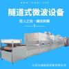 Liwei tipo túnel fruta deshidratada secado por microondas máquina deshidratadora nuez deshidratadora calentamiento curado línea de producción acero inoxidable