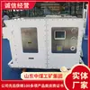 Controlador de Velocidad para Sistema de Banda Transportadora Minera Modular de Alto Voltaje, Antiexplosivo y de Seguridad Intrínseca