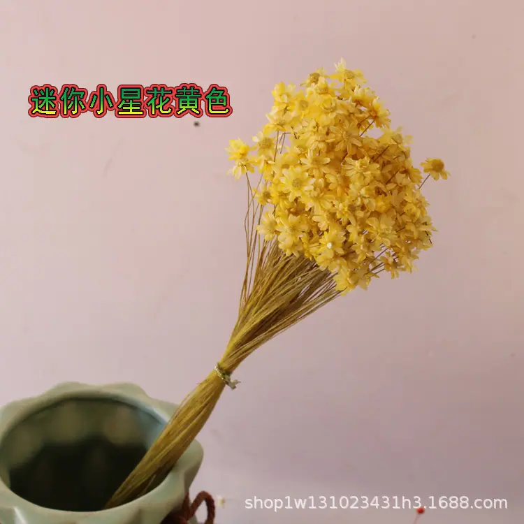 迷你小星花黄色.jpg
