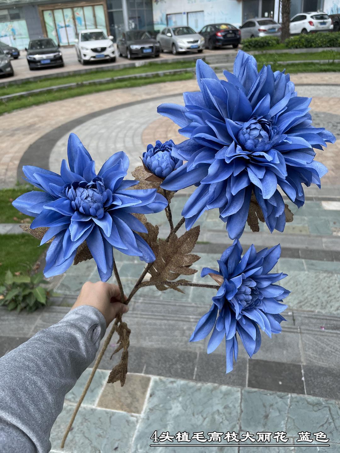 微信图片_20210519182308_副本.jpg