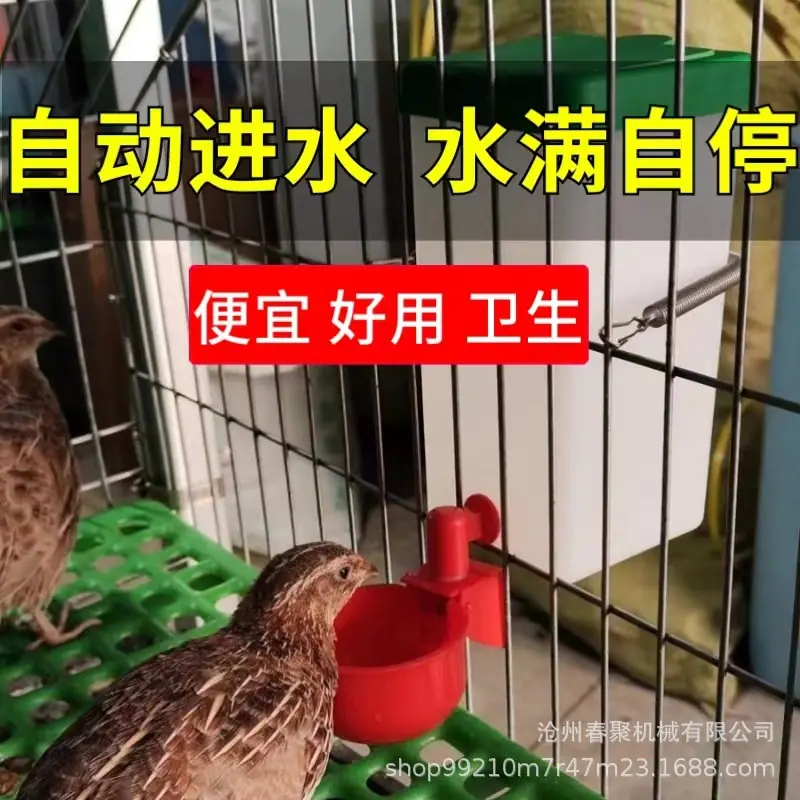 兔子饮水器主图.jpg