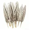 Venta al por mayor del fabricante Plumas Pequeñas de Faisán DIY Tocado de Plumas de Faisán Broche Sombrero Zapatos Artesanías Materiales de Decoración