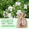 Bolsa de Fragancia Aromaterapia Gardenia Armario Fragancia de Larga Duración Desodorante Gadget Práctico Bolsa de Fragancia Armario Ropa Premium Uso en Coche