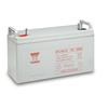 Batería de Plomo-Ácido Sellada Regulada por Válvula Yuasa Np24-12/12V24Ah Iluminación de Fuego Panel DC Eps