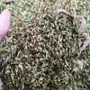 Chá Verde Autêntico Chá Branco Anji Folhas de Chá Trituradas Chá Branco Triturado Medicina Herbal Chinesa 100g 250g Disponível