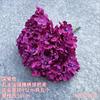 Nuevo ramo de hortensias francesas de cinco cabezas con púas, boda, simulación floral, flor artificial, venta al por mayor, diseño de auditorio de bodas, comercio exterior, transfronterizo