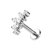 Joias de Liga de Titânio F136 Brincos Stud para Lábio Olho de Bimmer Australiano Stud para Osso da Orelha Joias para Piercing Corporal de Titânio G23 Rosca Interna