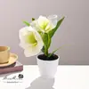 Dos Flores y Una Fruta, Bonsái de Magnolia con Tacto Real, Flores Artificiales, Adornos Decorativos para Estudio Fotográfico en Casa, Plantas Verdes Artificiales, Plantas Artificiales en Maceta