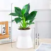 Maceta absorbente de agua, Planta en maceta Flor de Princesa Diamante Dorado Verde, planta de interior, flor, purificador de formaldehído, para sala de estar y oficina