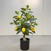 Árvore de Limão Artificial, Laranjaira em Vaso, Árvore Verde de Chão Estilo Nórdico, Decoração de Sala de Estar, Árvore de Frutas Falsa, Ornamento de Interior