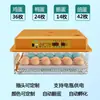 Incubadora Doméstica Incubadora de Huevos de Pollo Incubadora Doméstica Pequeña Incubadora Inteligente Totalmente Automática para Huevos de Pollo Pato Ganso Paloma