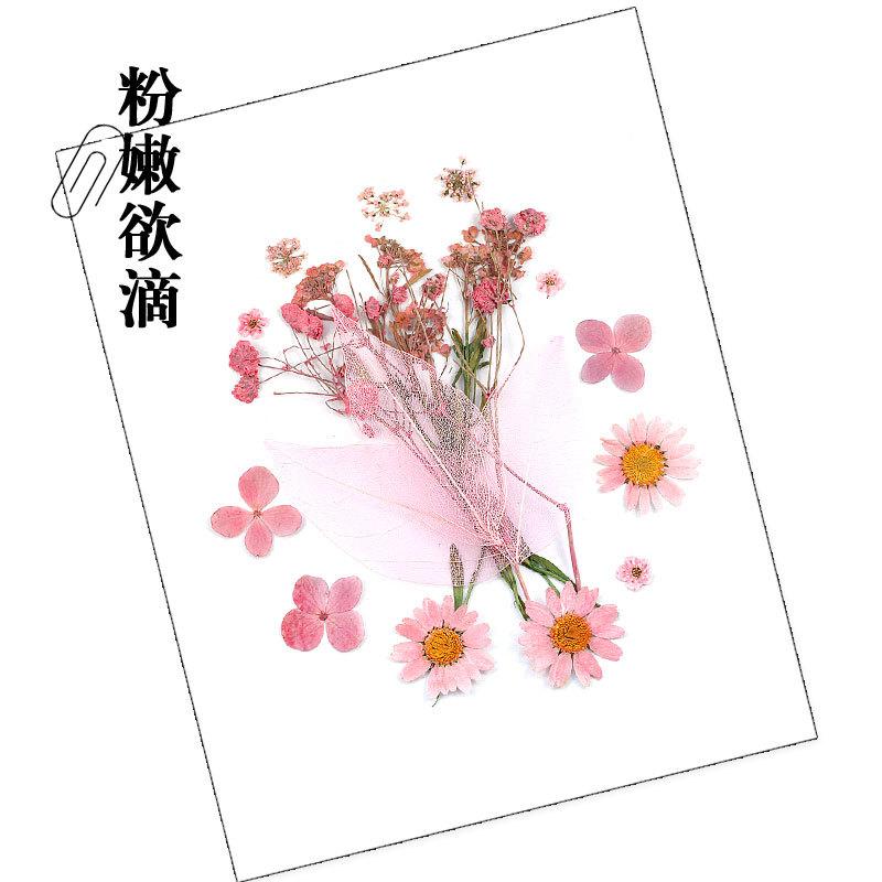 干花材料包-粉嫩欲滴.jpg