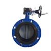 Válvula borboleta com flange de turbina, válvula borboleta de placa de nylon, válvula borboleta de aço inoxidável, placa 1.4529, placa 2507, válvula borboleta de placa D341X