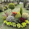Arreglos de Plantas Grandes para Paisajismo, Decoraciones Florales de Jardín, Conjuntos de Paisajismo para Esquinas de Hoteles y Restaurantes, Manojos de Cañaveral Real