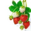 Adesivos de Cozinha à Prova d'Água com Padrão de Morango Fresco e Atraente Adesivos para Geladeira Adesivos de Vidro para Armários de Restaurante