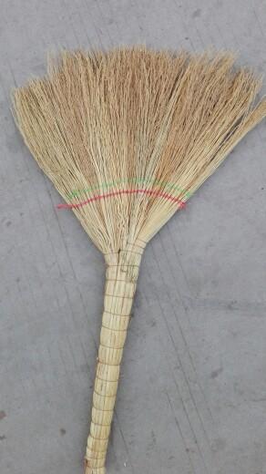 picture-ade7a12b8554057c8df624