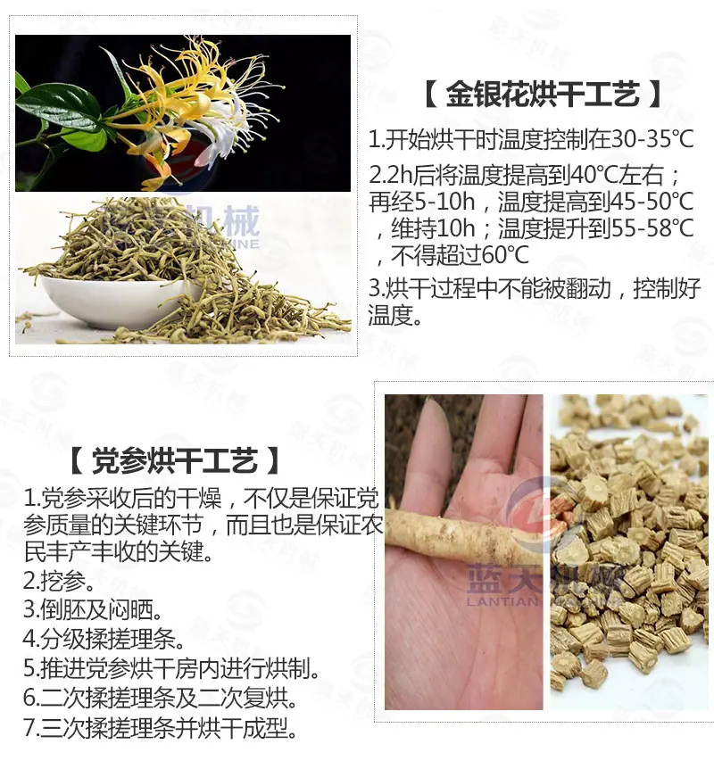 板蓝根烘干机_19.jpg