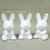 Embriones de espuma creativos para modelo DIY hecho a mano flor eterna unicornio conejo oso violento oso rosa material de embrión