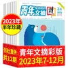 Suscripción Anual Completa Revista Youth Digest Enero-Diciembre 2026 2025 Yilin Materiales de Escritura para Lectores Revista de Literatura
