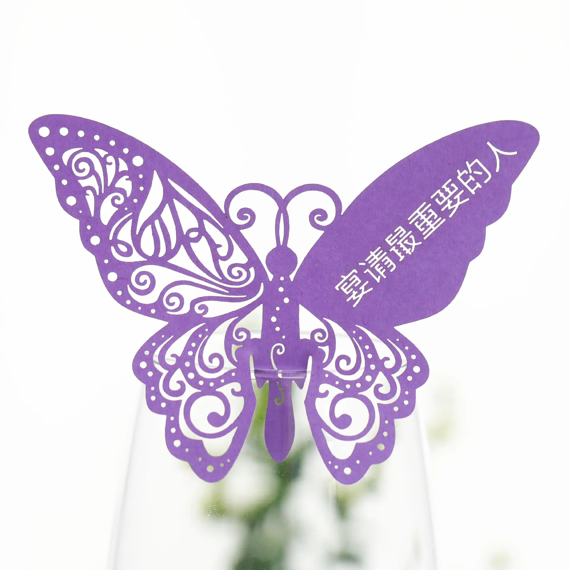9R3A2888 深紫卡