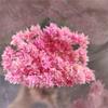 Flor de montanha pequena buquê de flores secas decoração luz luxo high-end diy material real flor air-dried importado espécime material de flor