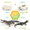 Juguete modelo de animal pequeño simulación ciclo de vida crecimiento rana tortuga pollo Montessori material didáctico preescolar venta al por mayor