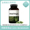 Amazon Comercio Exterior Transfronterizo Más Vendido Cápsulas de Moringa Cápsulas de Moringa Venta Directa de Fábrica Mayorista