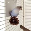 Papagaio Mordida Brinquedo Pássaros Gaiola Molar Pine Ball Pinha Xuan Feng Peônia Jogar Bico de Moinho Suprimentos Suspensos