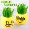 Regalos Creativos de Vacaciones para Niños, Regalos de Cumpleaños para Jardín de Infancia, Muñecos de Cabello de Césped, Plantas en Maceta que Crecen al Regarlas, Mini Plantas