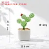Cacto de Vidro Zibo Suculenta Lírio-do-vale Jacinto Girassol Planta em Vaso Artificial Decoração Ornamento Comércio Exterior Transfronteiriço