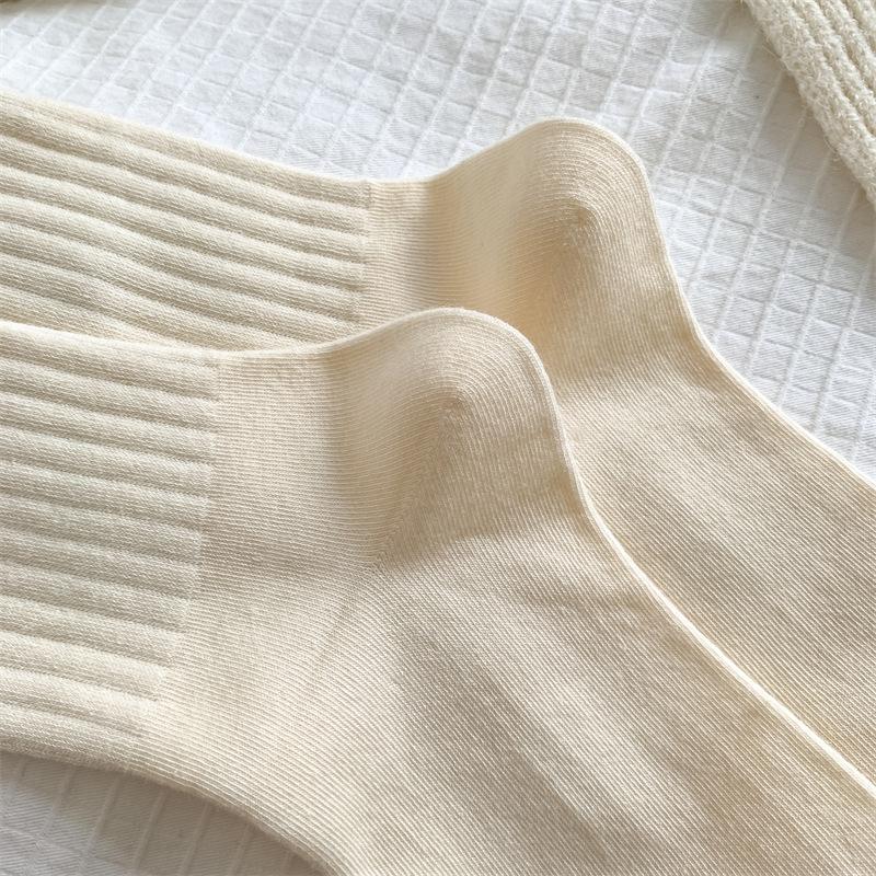 2024-08-19 113527.jpg