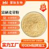 Pó de Malte Rico em Selênio 100Ppm Extrato de Malte de Selênio Grau Alimentício e 200Ppm-500Ppm Entrega Direta da Fábrica