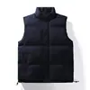 Colete Masculino Novo de Outono e Inverno com Forro de Lã Quente à Prova de Vento, Jaqueta de Algodão Casual com Gola Alta, Colete Casaco Masculino Plus Size