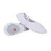 Venta directa de fábrica zapatos de baile personalizados producción anual de 2 millones de pares de zapatillas de ballet zapatillas de garra de gato zapatillas de práctica zapatos de baile de suela blanda