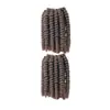 Fio Retardante de Chama de Baixa Temperatura Tranças Africanas Pequenas Enroladas Mola Havana Curl Conjunto de Cabelo Crochê Duas Peças Direto do Fabricante