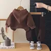 Traje casual estilo coreano para niños de uno a cinco años, nuevo suéter de manga larga de color liso con cremallera para otoño, conjunto de tres piezas