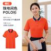 Camisas Polo de Manga Curta para Workshops, Camisas Publicitárias com Logo Impresso, Roupas de Trabalho para Funcionários, Uniformes de Equipe de Secagem Rápida, Uniformes para Trabalhadores de Restaurante