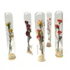 Decoraciones Rama Única Embalaje de Cartón Lujo Ligero Nórdico Tubo de Ensayo de Flor Seca Interior Hecho a Mano Adornos Decoraciones Regalo