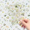 5 pegatinas florales transparentes de PET de margarita fresca, materiales florales frescos pequeños para journaling, pegatinas de taza de té con leche